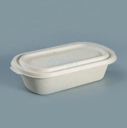 Compostable sugarcane Single Compartment  clamshell
