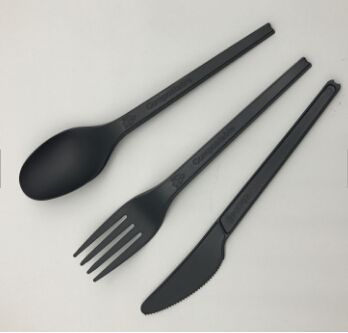 CPLA Cutlery Spoon tableware
